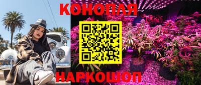 мдпв Малоярославец