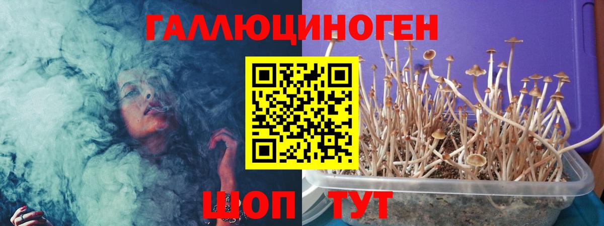 Галлюциногенные грибы ЛСД Благовещенск